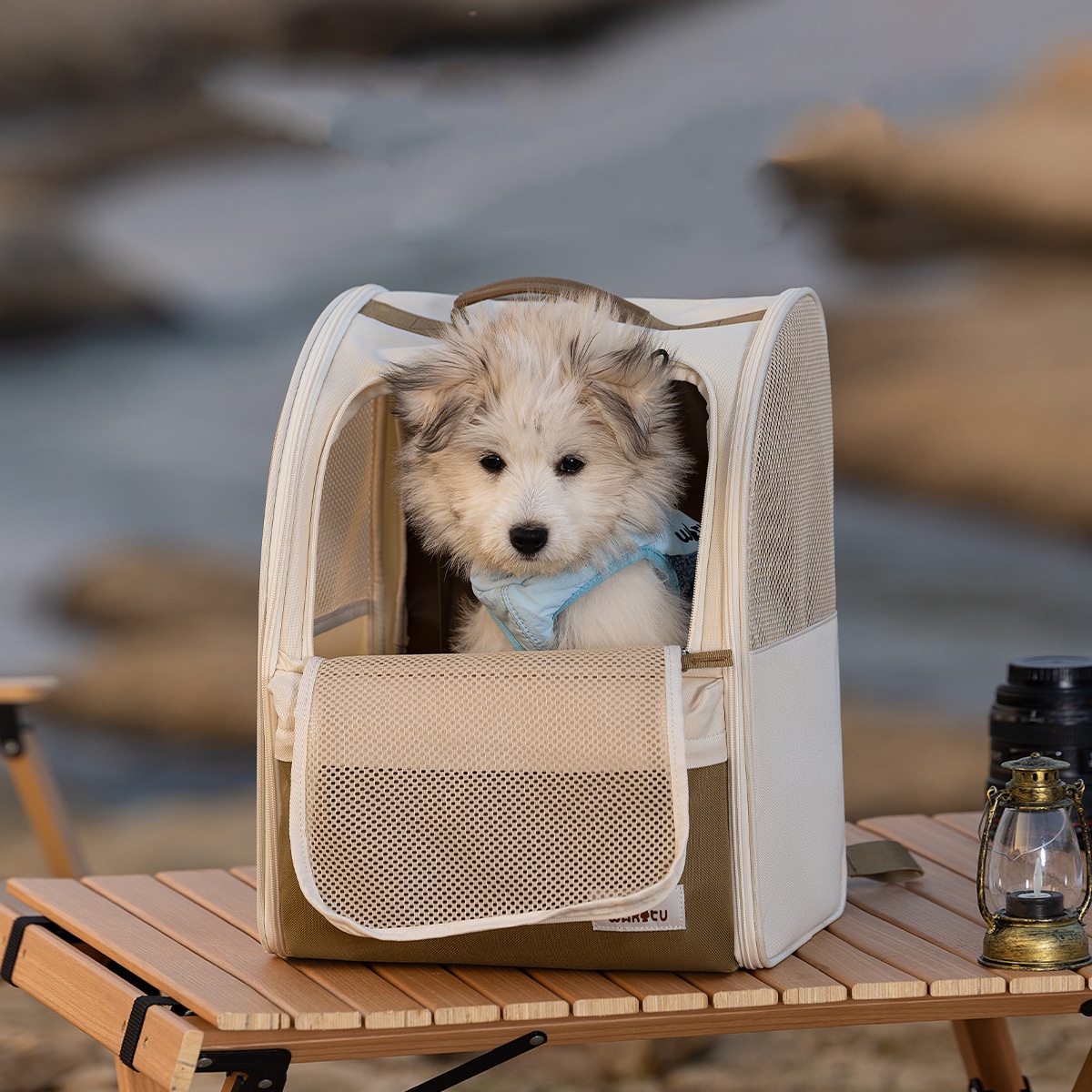 Pet Carrier Backpack Breathabl - đánh giá và giá Foldable Backpack Small