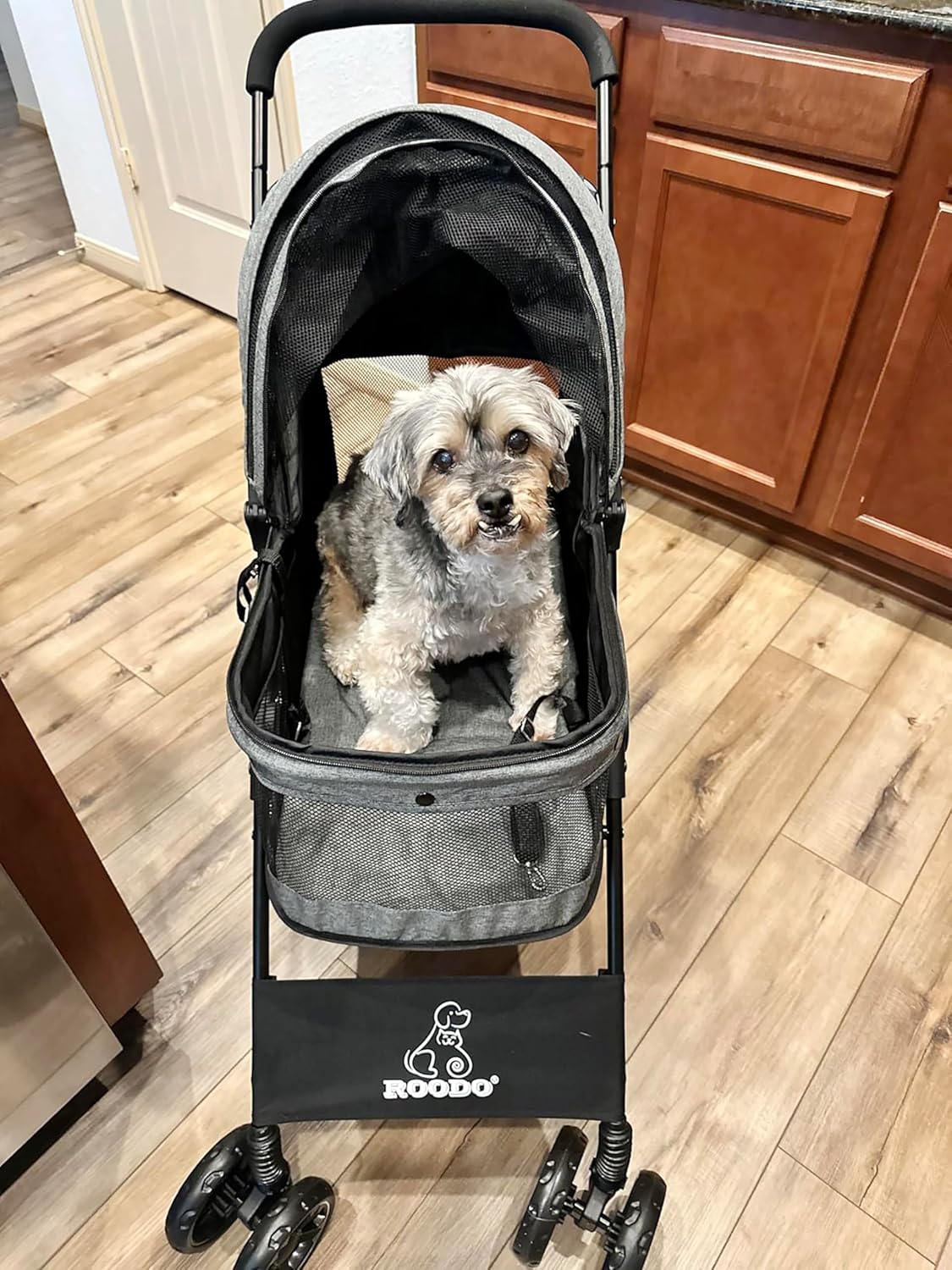 4 Wheel Dog Cat Pet Stroller,  - đánh giá và giá Foldable Backpack Small