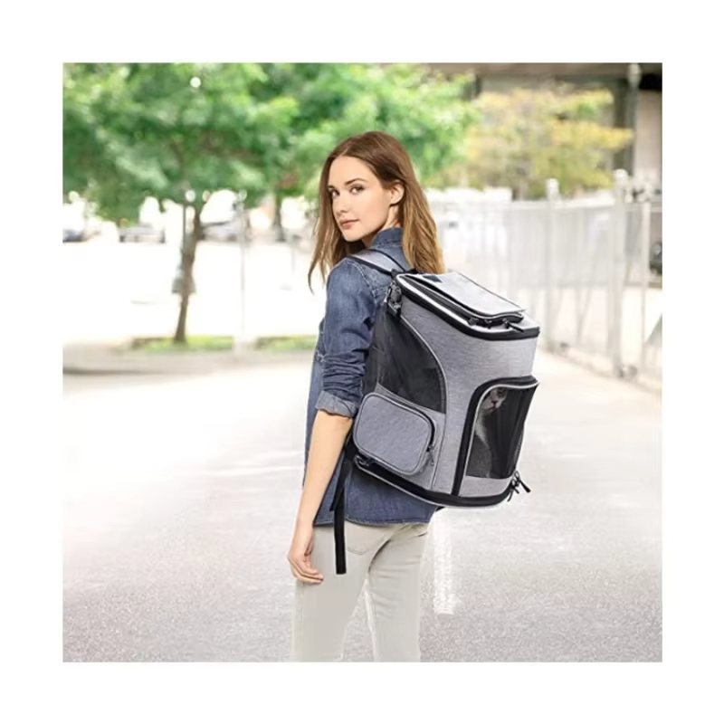 Cat Bag Outdoor Portable Cat B - đánh giá và giá Foldable Backpack Small